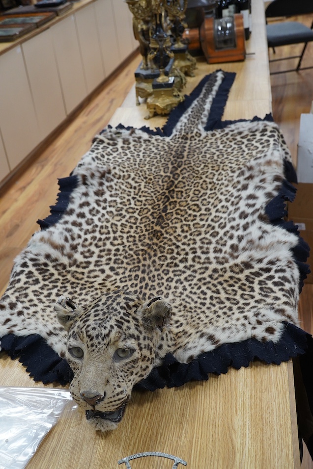 An early 20th century leopard skin rug with taxidermy head by van Ingen and van Ingen, Mysore, makers name stamped to the back, 215cm long. Condition - poor